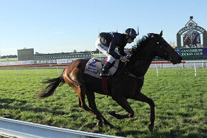 SCAPOLO Great Easter Stks Race Images